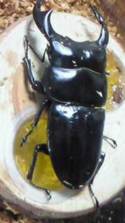 201008152212000.jpg